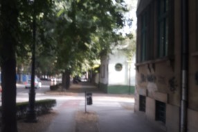 Orezivanje stabala u Ulici braće Radić