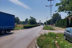 Živa ograda u ulici Đorđa Natoševića
