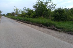 Zatrpani odvodni kanali