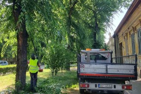 Biciklističke staze i neorezano granje