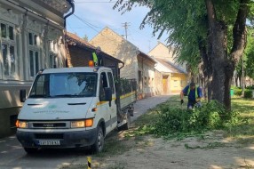 Biciklističke staze i neorezano granje
