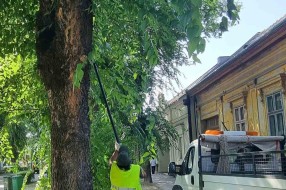 Biciklističke staze i neorezano granje