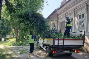 Biciklističke staze i neorezano granje