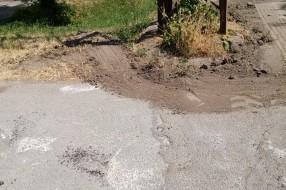 Javašluk u Bajmoku (Ulica JNA)