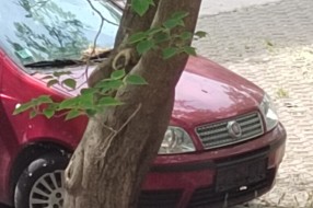Neregistrovana i napuštena vozila na parkingu iza ulice Ištvana Kizura 11-13