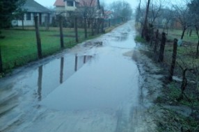 Ulica Jelene Ćetković na Makovoj