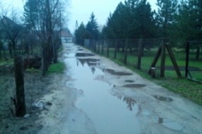 Ulica Jelene Ćetković na Makovoj