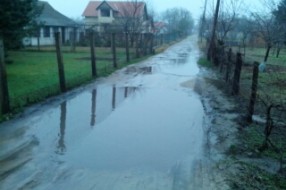 Ulica Jelene Ćetković na Makovoj