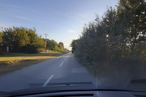 Nepregledan put u ulici Anke Butorac zbog rastinja