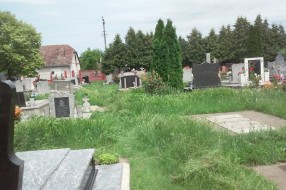 Nepokošena trava na groblju u Aleksandrovu