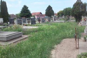 Nepokošena trava na groblju u Aleksandrovu