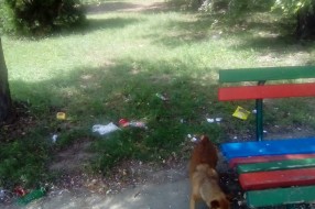 MZ Bikovo - ružna slika u parku