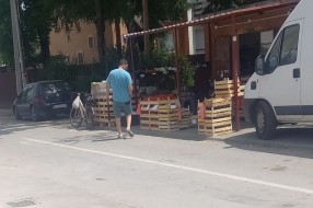 Piljara u Pionirskoj ulici
