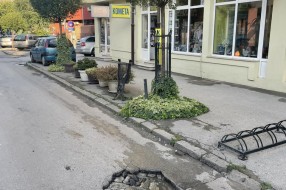 Udarna rupa u Ulici Branislava Nušića
