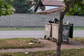 Problem kućnog smeća u Teslinoj ulici