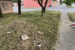 Problem kućnog smeća u Teslinoj ulici