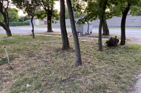 Problem kućnog smeća u Teslinoj ulici