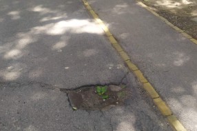 Oštećenja trotoara u Ulici braće Radić (nedaleko od Denis picerije)