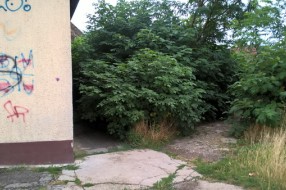 Održavanje javnih površina