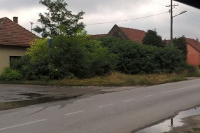 Održavanje javnih površina