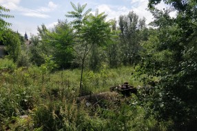 Vegetacija u gradu
