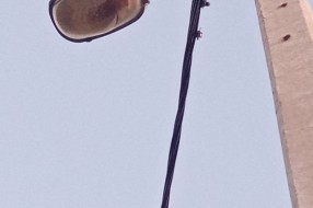 Slomnjena bandera u Starom Žedniku