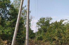 Problem sa strujom u selu Gabrić zbog neorezanih krošnji drveća