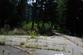 Neodržavanje Prve kasarne, zarasla i zapuštena
