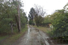 Kada će biti rešena putna i vodovodna infrastruktura u ulici Jelene Ćetković?