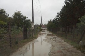 Kada će biti rešena putna i vodovodna infrastruktura u ulici Jelene Ćetković?