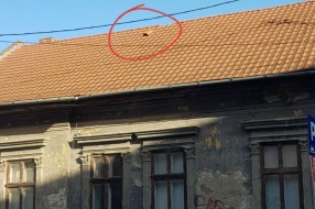 Crep na kući u centru grada preti da padne nekome na auto ili glavu!