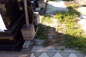 Zapušteno crkveno groblje u Dudovoj šumi