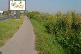 Biciklistička staza na kraju somborske pruge obrasla šibljem (Zorka)