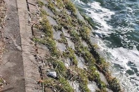 Stiropor sa mola Veslačkog kluba upada u jezero