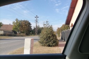 Rizičan izlazak iz Jasenovačke: Borovi zaklanjaju preglednost ka Bajskom putu