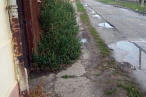 Nebriga građana i ignorisanje od strane odgovornih