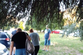 Bolesno drvo na Prozivci ometa prolaz pešacima