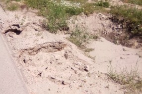 Čordaški put - Kanali pored puta opasni