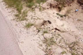 Čordaški put - Kanali pored puta opasni