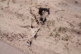 Čordaški put - Kanali pored puta opasni