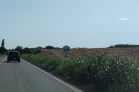 Nepokošena trava na putu Subotica - Bajmok