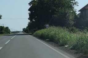 Nepokošena trava na putu Subotica - Bajmok