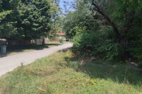 Zapušten ugao Ferenci Ibolje i Otvorene ulice, nepregledan za saobraćaj, granje u elektro vodovima