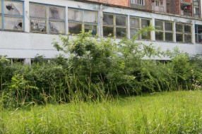 Neodržavani prostor u jezgru Radijalca