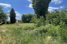 Površina u Kireškoj ulici zarasla travom i korovom