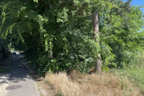 Površina u Kireškoj ulici zarasla travom i korovom
