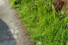 Prošla zima, stiglo proleće