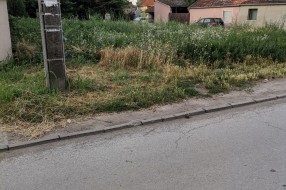Plac u Kireškoj zarastao u korov