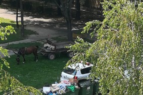 Konjska zaprega u centru grada