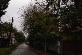 Orezivanje grana i drugog rastinja u Kozaračkoj ulici